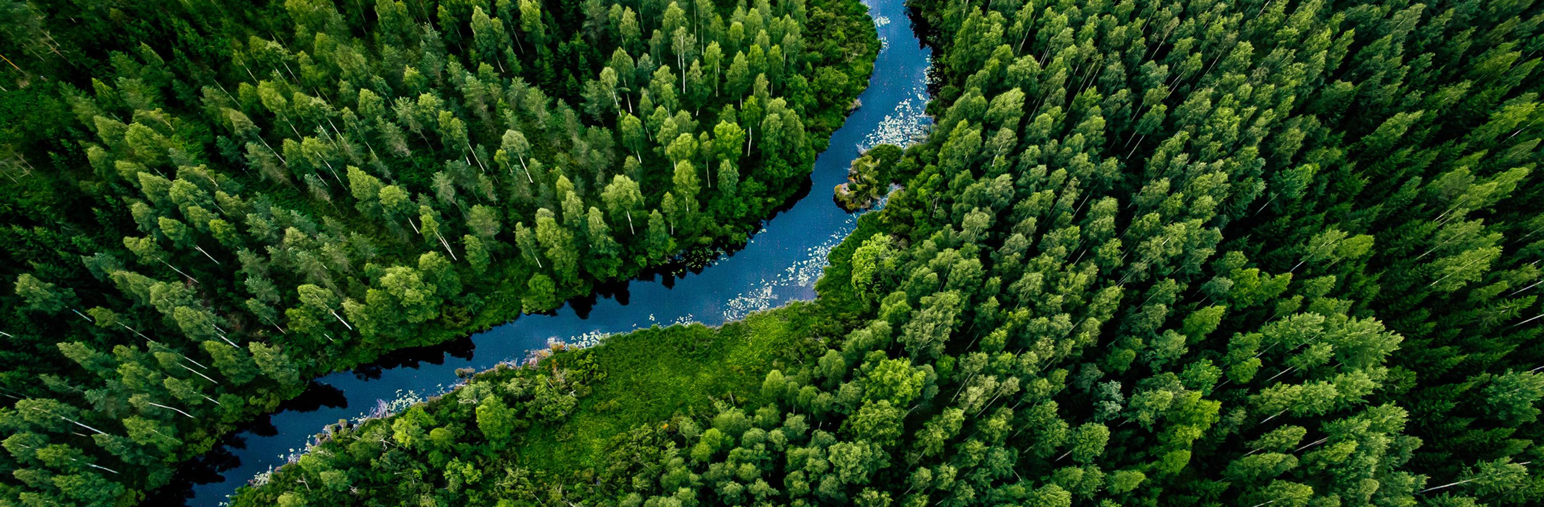 CTA Blog Archive Image