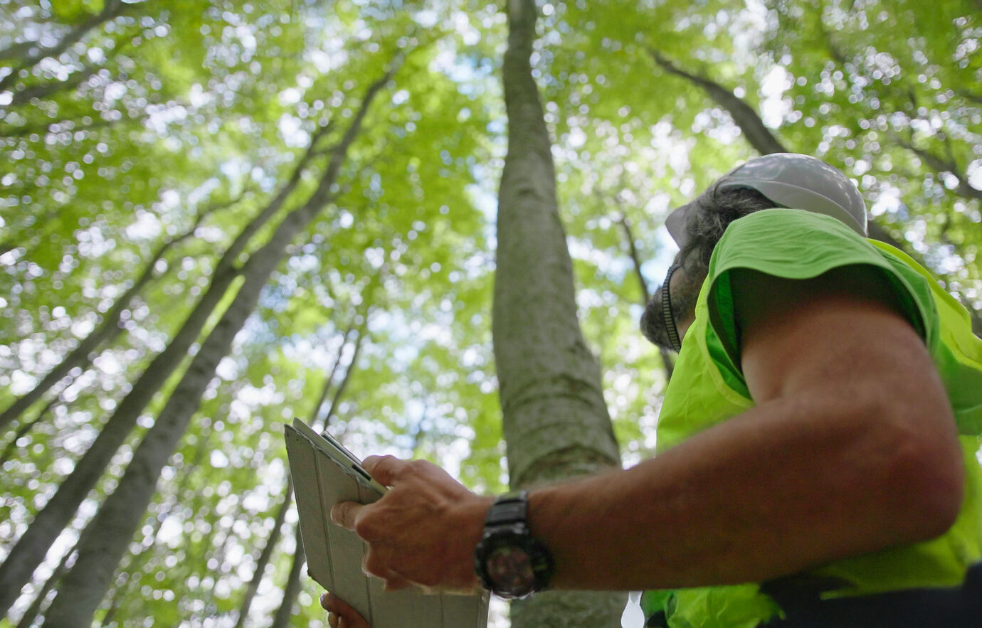 Ecologist on fieldwork